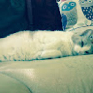 Meet your Posher, Za